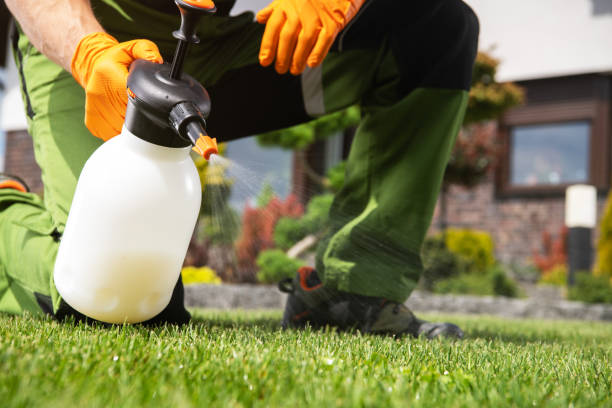 Best Pest Removal Services  in Montverde, FL