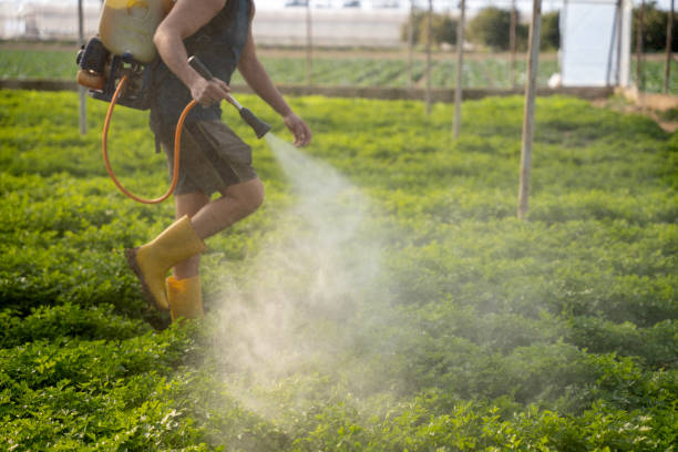 Pest Prevention Services in Montverde, FL