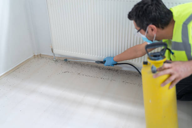 Trusted Montverde, FL Pest Control Experts