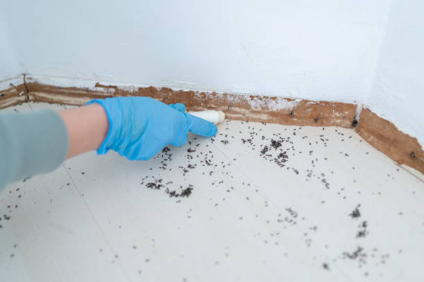 Best Commercial Pest Control Services  in Montverde, FL