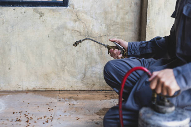 Best Pest Prevention Services  in Montverde, FL